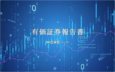 有価証券報告書 MORE