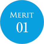 Merit01