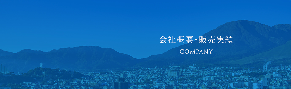 会社概要・販売実績 COMPANY