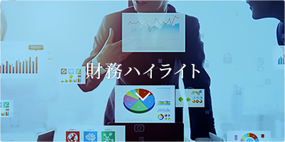 財務ハイライト