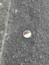 【四国営業所】今日の昼食は道端カレーライス⁈Σ（・□・；）笑