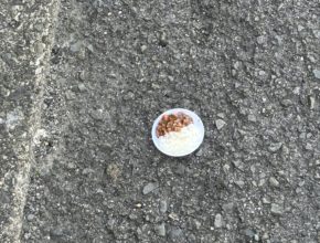 【四国営業所】今日の昼食は道端カレーライス⁈Σ（・□・；）笑