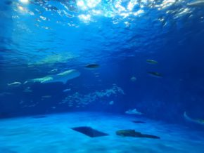 【宮崎営業所】休日♪