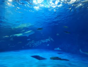 【宮崎営業所】休日♪