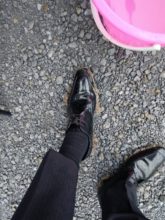 【宮崎営業所】初老…ですかね？