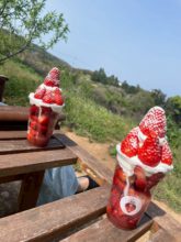 【大分本店】苺の季節🍓