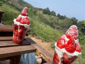 【大分本店】苺の季節🍓