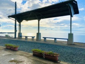 【四国営業所】スタッフ秋田　愛媛ジブリの世界へ🐈