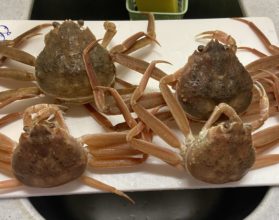 【四国営業所】鳥取からカニがやってきた🦀