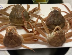 【四国営業所】鳥取からカニがやってきた🦀