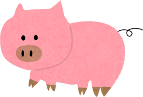 【大分本店】幻の『X』とは…？🐷