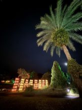 【宮崎営業所】みやざきグルメランタンナイト🏮