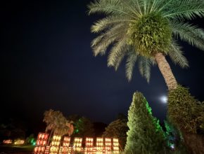 【宮崎営業所】みやざきグルメランタンナイト🏮