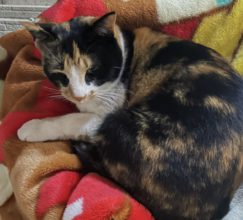 【宮崎営業所】冬を感じる、日常のひと時