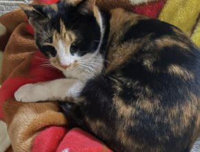 【宮崎営業所】冬を感じる、日常のひと時