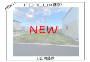 【新着情報】フォレクス藤原7登場！