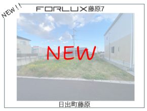 【新着情報】フォレクス藤原7登場！