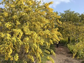 春を先取り🌸【大分本社】