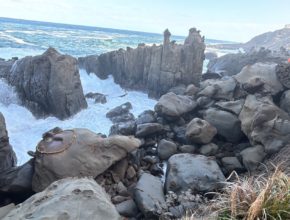 【宮崎営業所】目指せ日本代表🎌🎌🎌