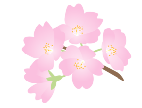 【大分本社】この時期になると…？🌸