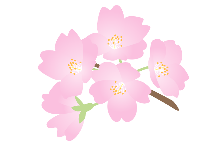 【大分本社】この時期になると…？🌸