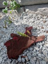 【大分本社】これからの季節に🌳