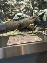 【どこかに連れ出さないと、、、】