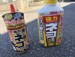 【大分本社】害虫・害獣は大変です(╥﹏╥)