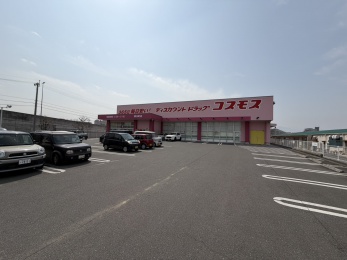 ドラッグストアコスモス東元町店