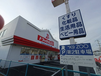 ドラッグイレブン