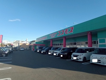 ドラッグストアコスモス大坪店