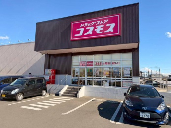 ドラッグストアコスモス大塚店