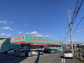 ディスカウントドラッグコスモス日出店